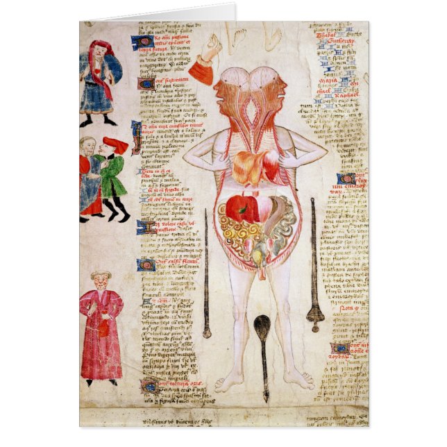 Cartão Diagrama anatômico (Frente)