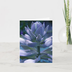 Cartão diário "fotográfico" azul do Hosta