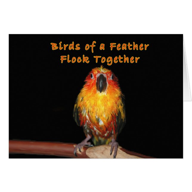 Cartão Dias chuvosos (Frente Horizontal)