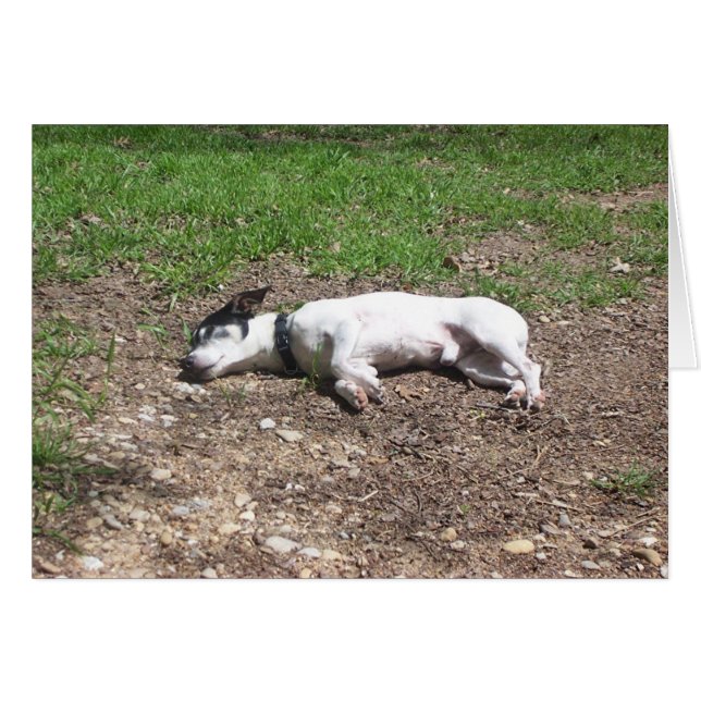 Cartão Dias de cão (Frente Horizontal)