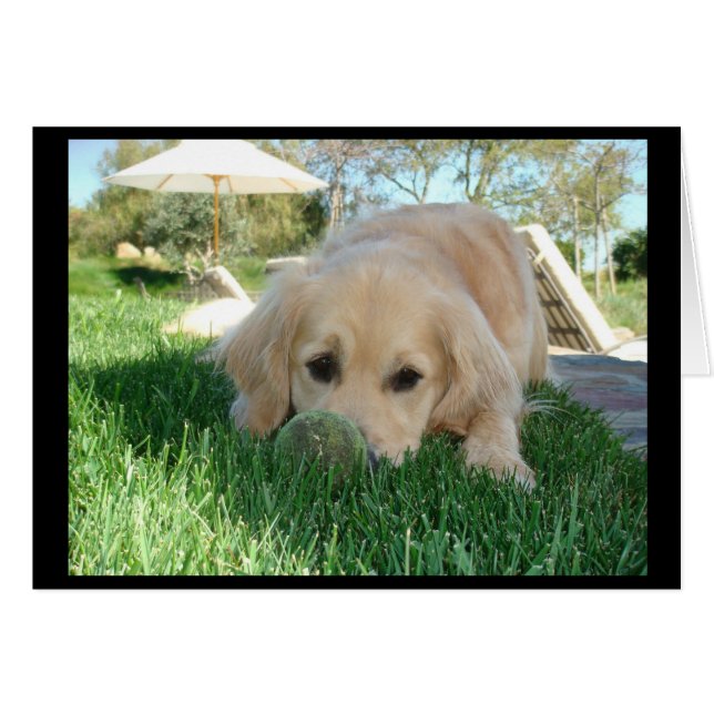 Cartão Dias de Cão de Tess (Frente Horizontal)