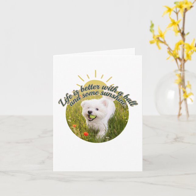 Cartão Dias de Dandelion com Bichon e Bola  (Flor Amarela)