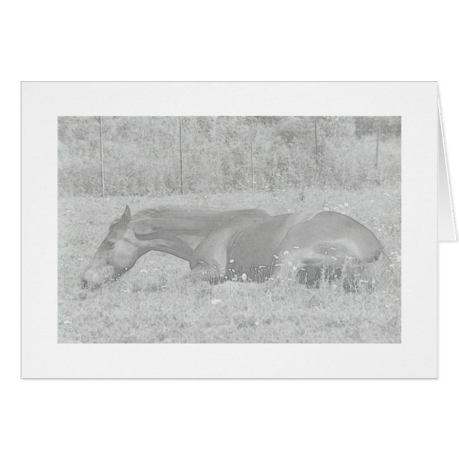 Cartão Dias de Verão Preguiçosos (Frente Horizontal)