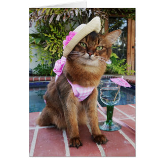 Cartão Dias de verão que caracterizam o verão o gato