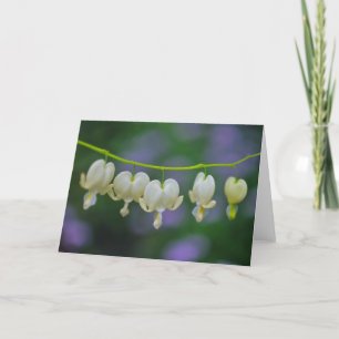 Cartão Dicentra Greeting Card