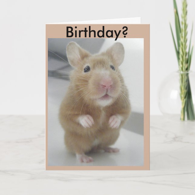 Cartão Did I Hear Right? (Frente)