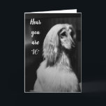 Cartão "DID MY HAIR JUST FOR YOU" 16th BIRTHDAY CARD<br><div class="desc">She got all "beautiful" just to wish Your friend or relative a very HAPPY BIRTHDAY for they are special! AND,  do not forget you can CHANGE THE AGE IN SECONDS. I have made them for 18 and 21 as well :) THANKS for stopping by one of my eight stores!!!!</div>