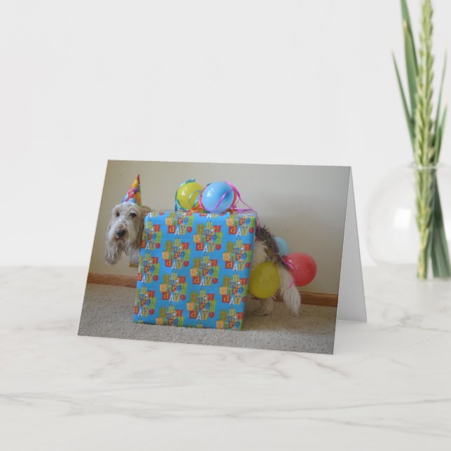 Cartão Did someone order a birthday gift? (Frente)