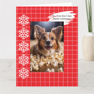 Cartão Diga Ao Seu Cachorro Que Eu Disse Feliz Natal