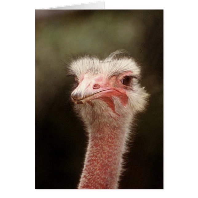 Cartão Diga isso de novo? (Frente)