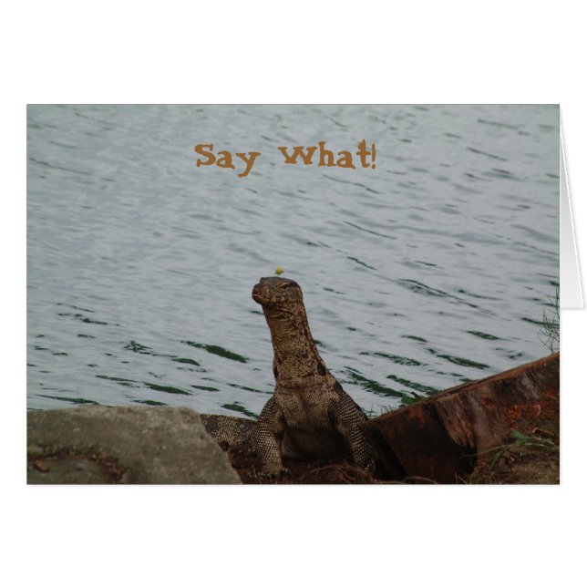 Cartão Diga que! Monitor de água (Frente Horizontal)