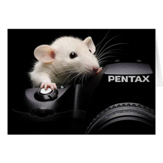 Cartão Diga queijo!