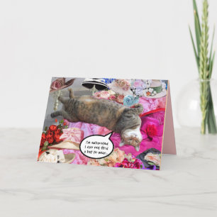 Cartão Dilema da Princesa Tatus Cat