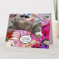 Dilema da Princesa Tatus Cat