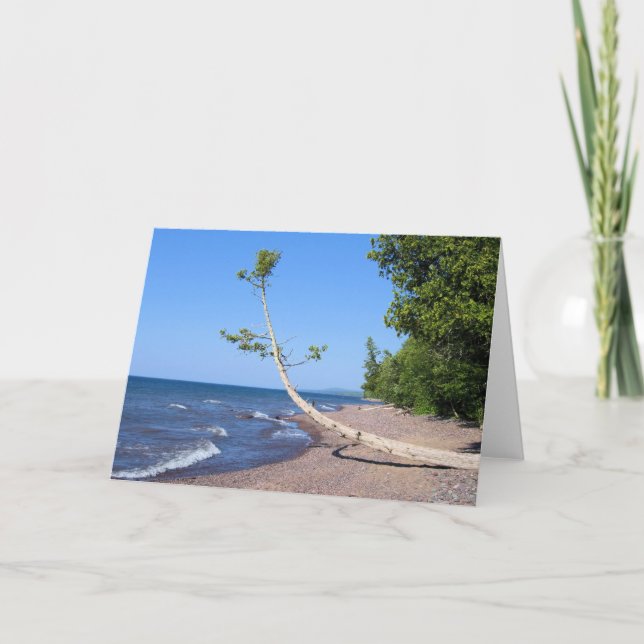 Cartão Diligently Seeking - Scripture Greeting Card (Frente)