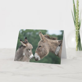 Cartão Dinky donkey