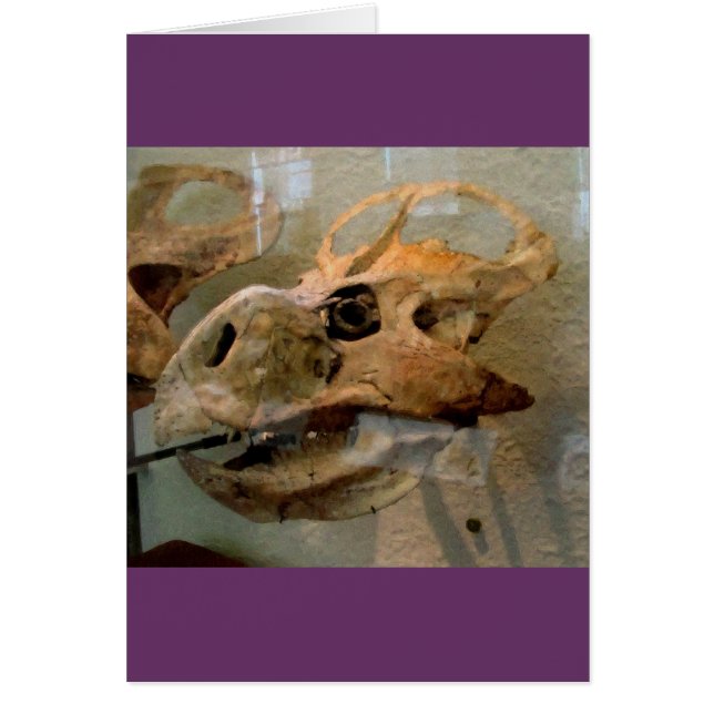 Cartão Dino Skull (Frente)