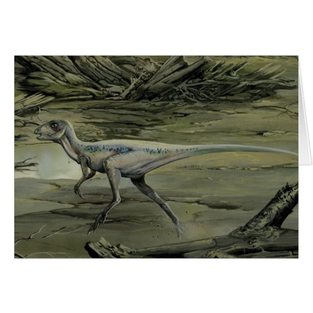 Cartão Dinossauros Vintage, um Hypsilophodon do Cretáceo (Frente Horizontal)