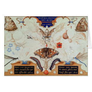 Cartão Diptych com flores e insetos, 1591