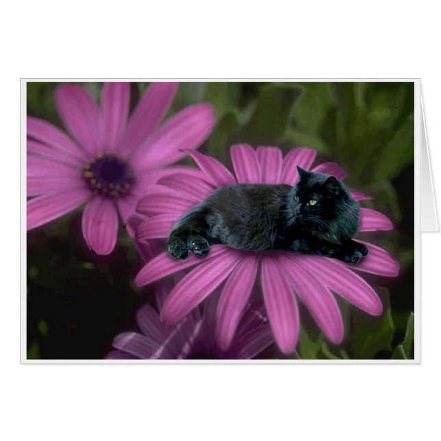 Cartão Direitos (Frente Horizontal)