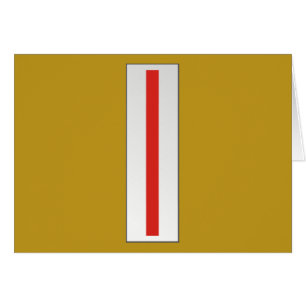 Cartão Diretor Executivo da USMC CWO5 5 W-5