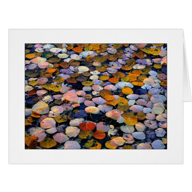 Cartão "Discagem Silenciosa" (Frente horizontal)