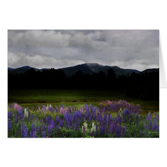 Cartão Disco no Intervalo da Franconia (Frente Horizontal)