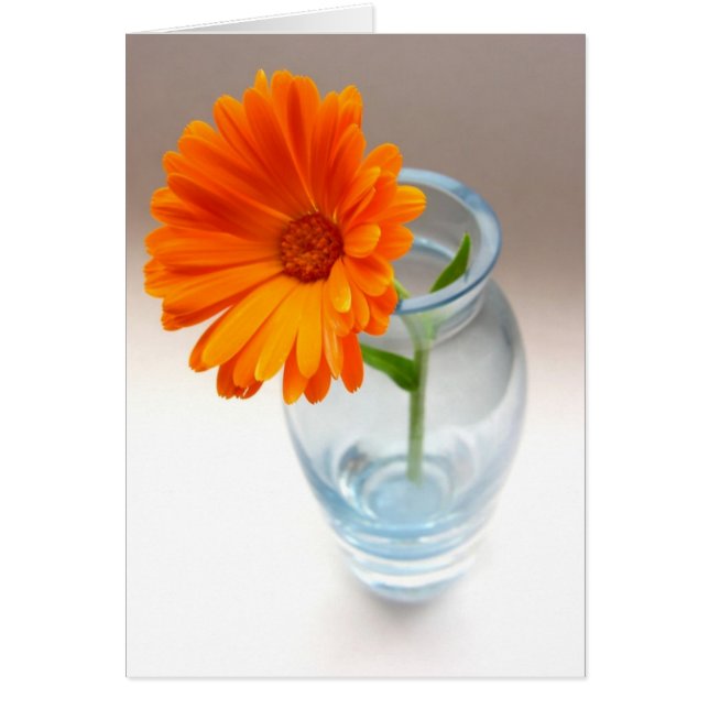 Cartão Disposição Floral (Frente)