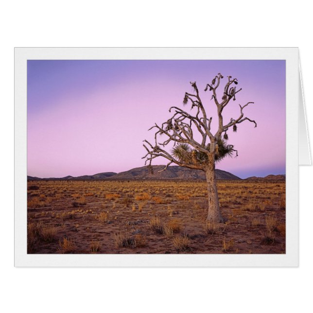 Cartão " Dissipador de Forma Fantasma " (Frente horizontal)