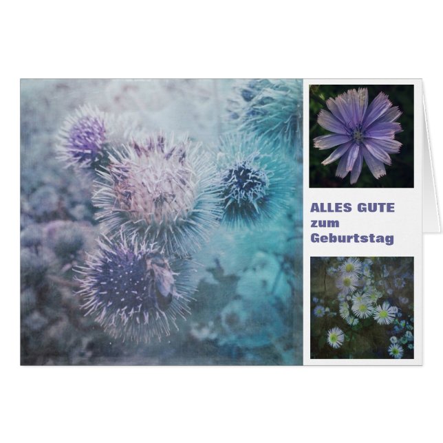 Cartão Distelblüten (Frente Horizontal)