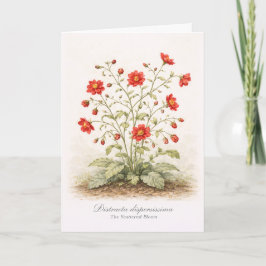 Cartão Distracta dispersissima - O Florescer Disperso