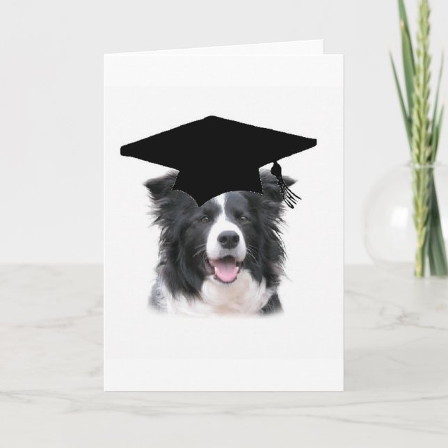 Cartão Ditzy Dogs~Original Notecard~Border Collie (Frente)