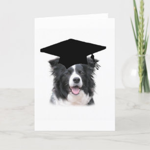 Cartão Ditzy Dogs~Original Notecard~Border Collie
