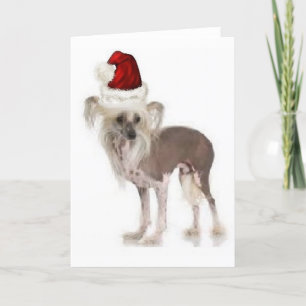 Cartão Ditzy Dogs~Original Notecard~Chinese Crested