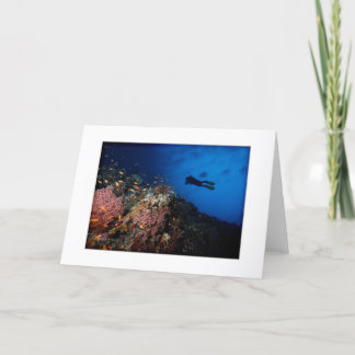 Cartão Diver on Reef Greeting Card