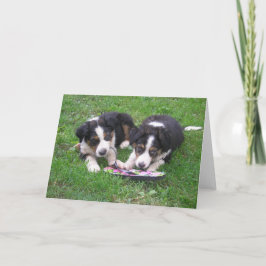 Cartão Diversão do sacudir Flop!