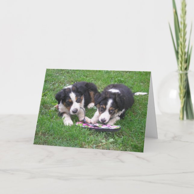 Cartão Diversão do sacudir Flop! (Frente)