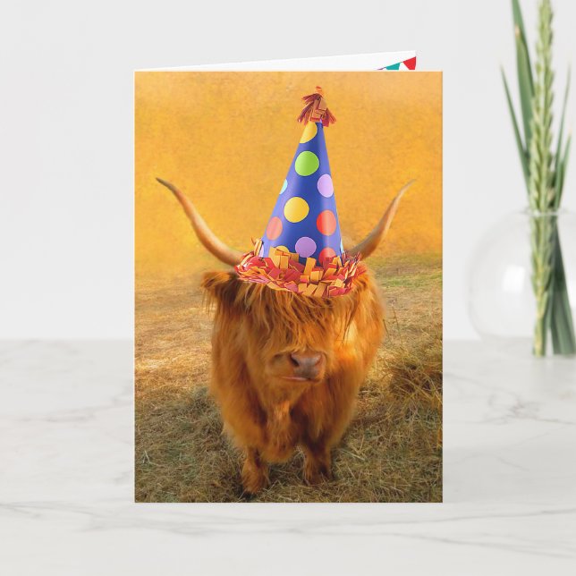 Cartão Diversão Loving Scottish Highland Steer Birthday (Frente)