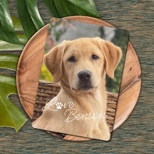 Cartão Diversão Minha Melhor Foto De Amigo Impressão De P