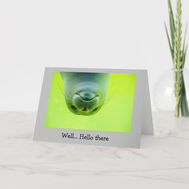 Cartão Divertido em contato Como você foca animal (Frente)