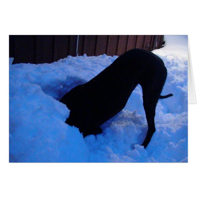 Cartão Divertido na neve (Frente Horizontal)