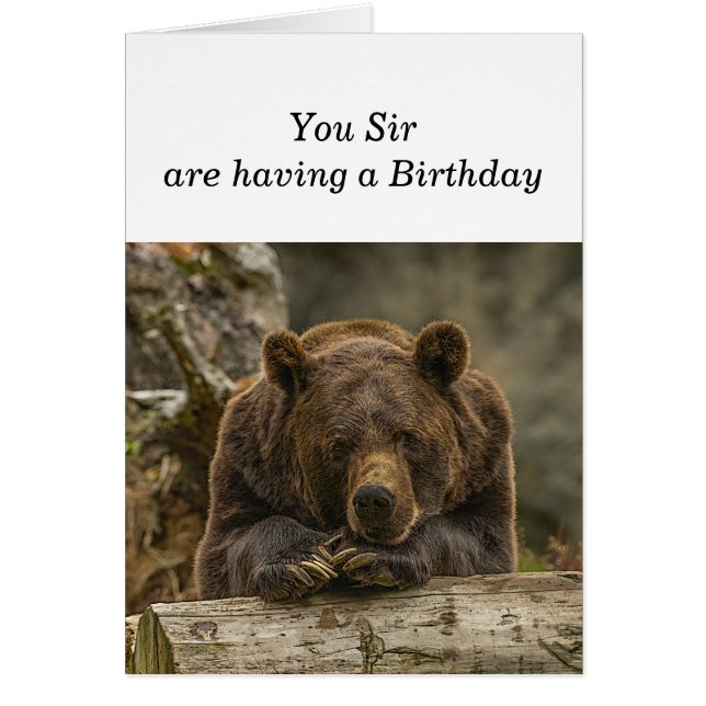 Cartão Divertido Sobre A Colina Sério Que Parece Um Urso  (Frente)