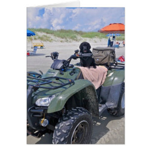 Cartão Divertimento da praia