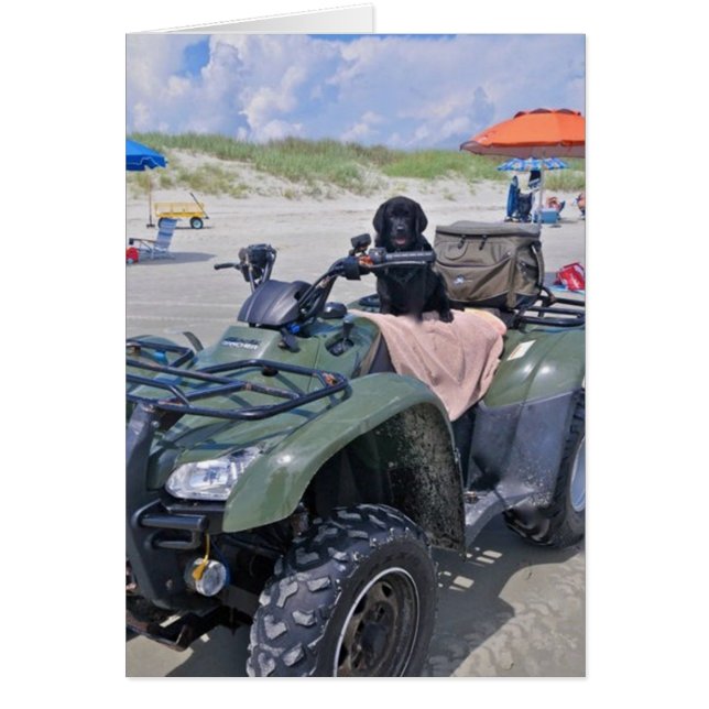 Cartão Divertimento da praia (Frente)