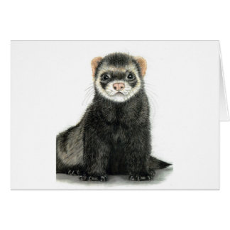 Cartão Divertimento de Ferret!