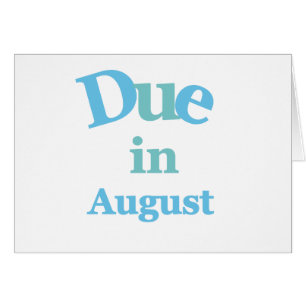 Cartão Dívida do azul em agosto