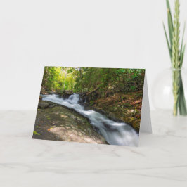 Cartão Dividir Cai na Execução do Primavera de Areia