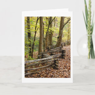 cartão - Dividir cerca do trilho no outono