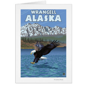 Cartão Diving Bald Eagle - Wrangell, Alaska