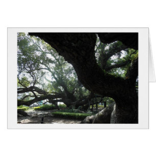 Cartão divino da árvore